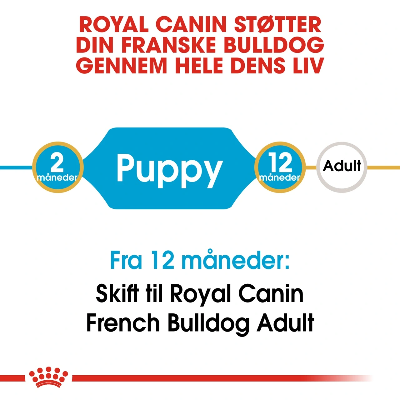 Royal Canin French Bulldog Puppy 3 kg - fuldfoder til hvalpe